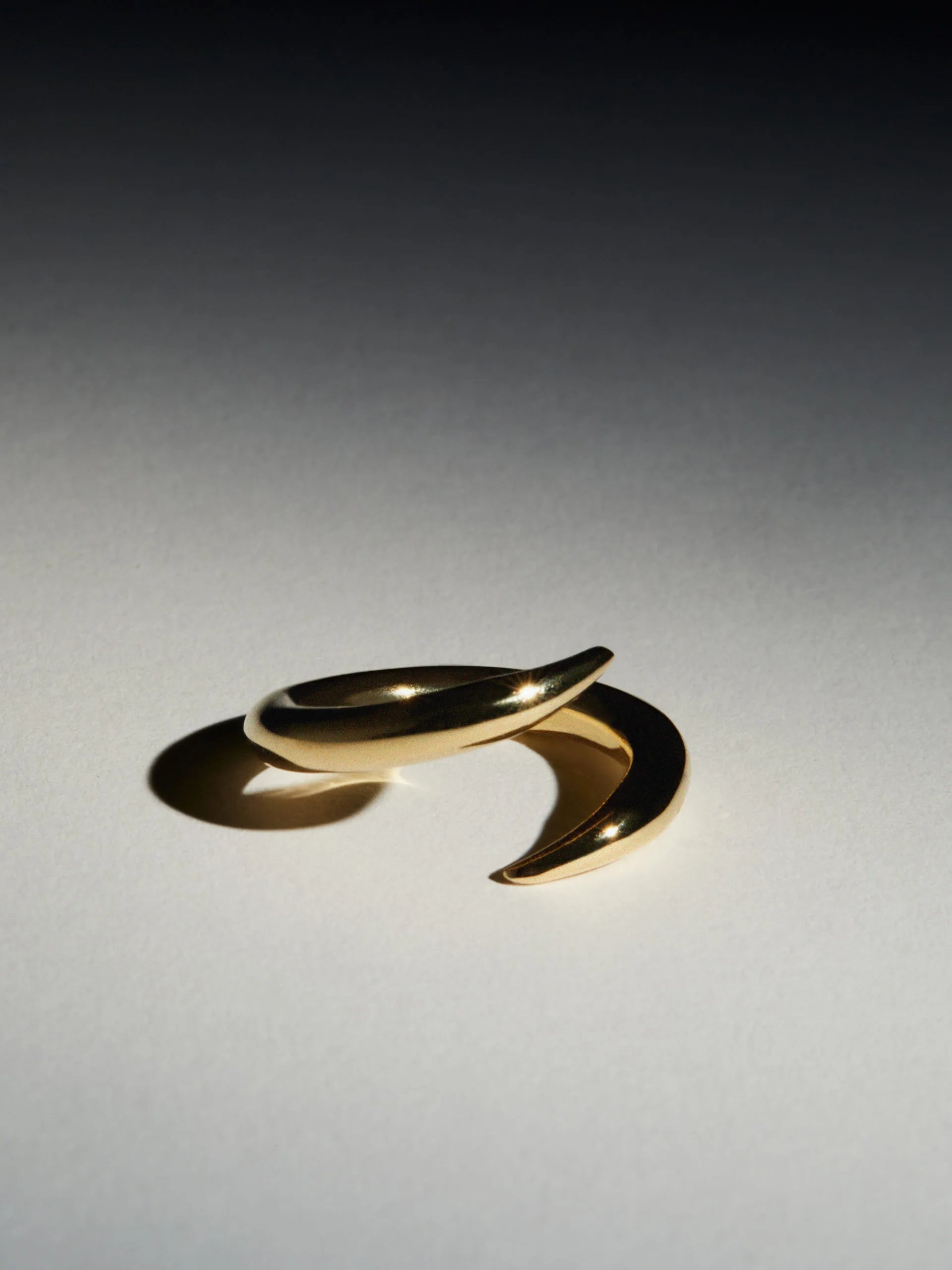 THE PUNK RING
