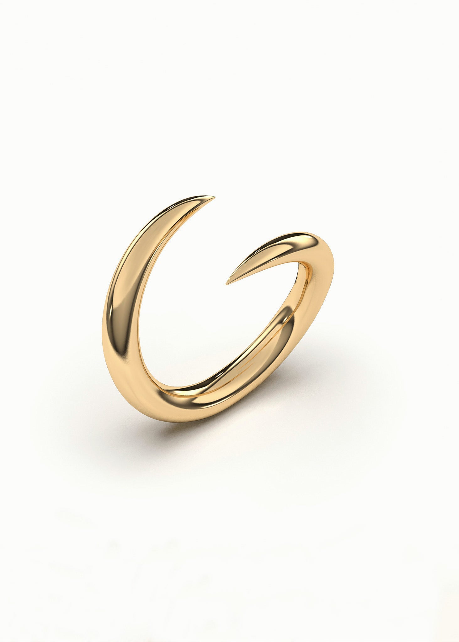 THE PUNK RING