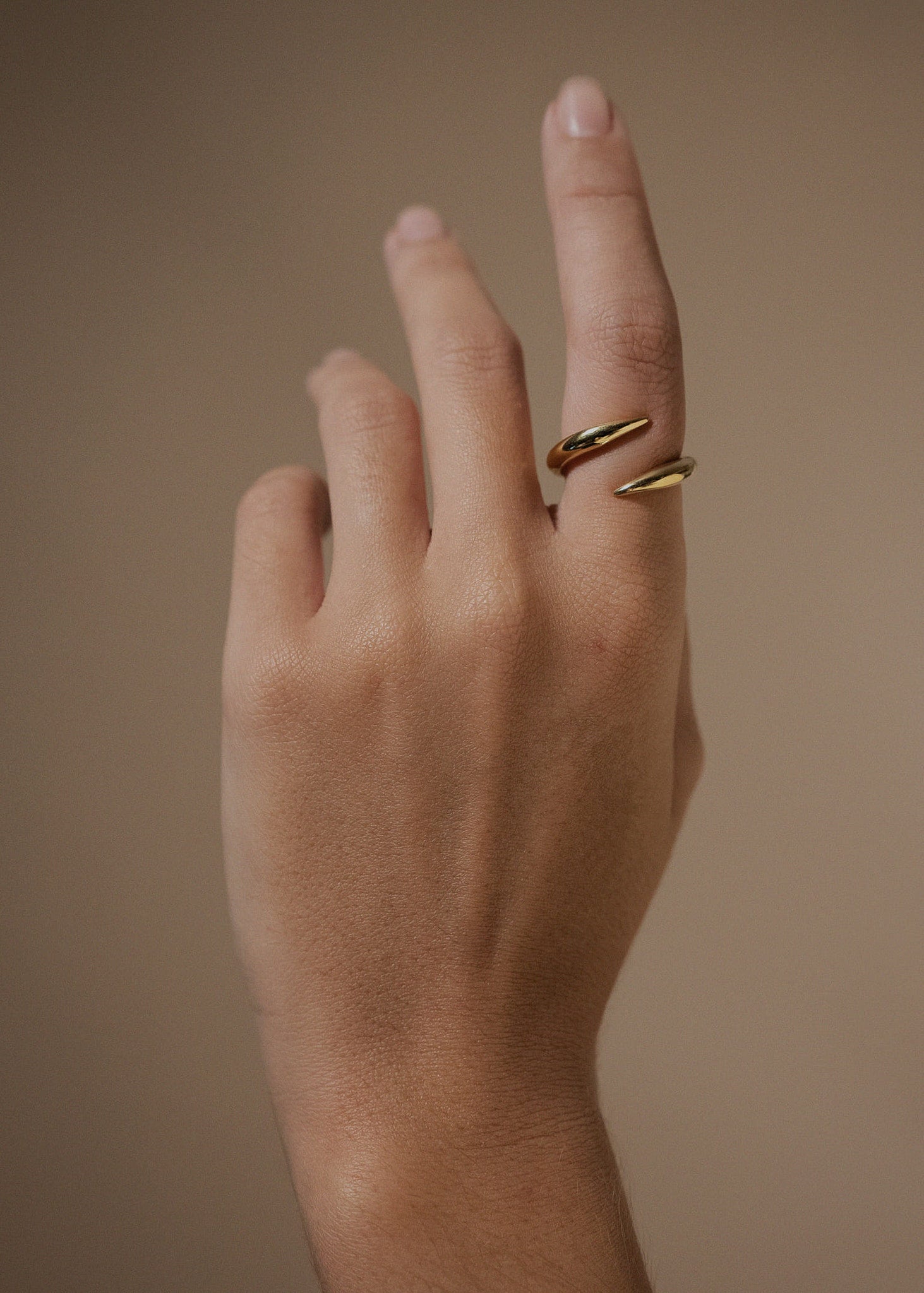 THE PUNK RING