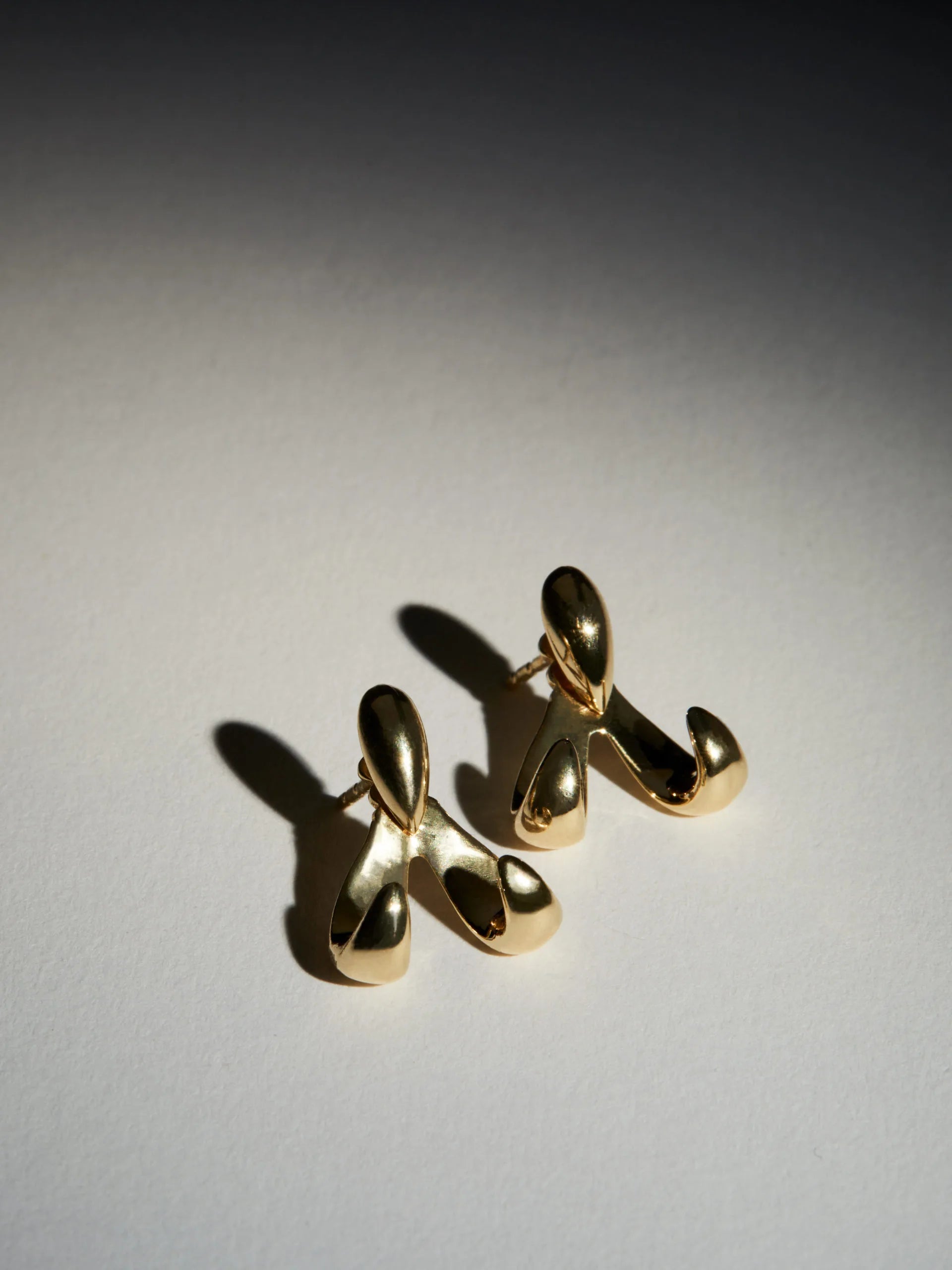 THE HOOK EARRINGS