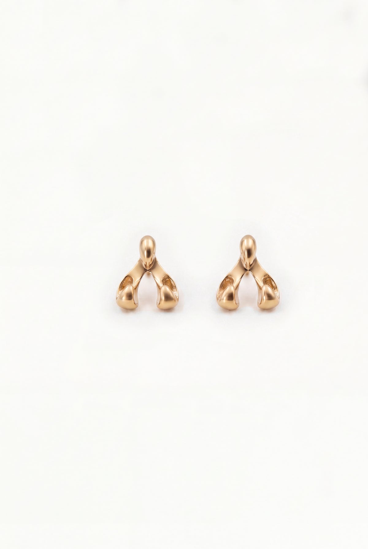 The Hook Earrings